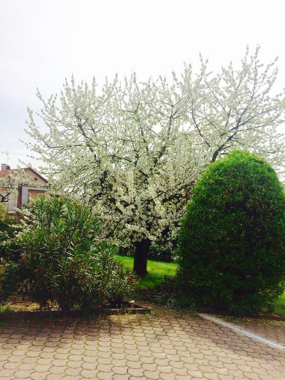 Appartamento I Ciliegi Moncalieri Esterno foto