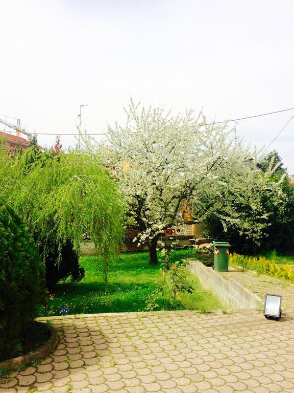 Appartamento I Ciliegi Moncalieri Esterno foto
